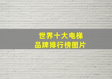 世界十大电梯品牌排行榜图片