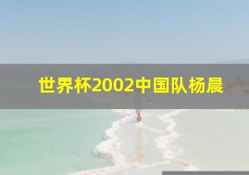 世界杯2002中国队杨晨