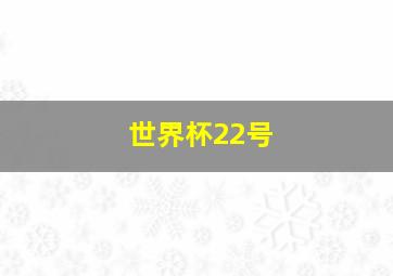 世界杯22号