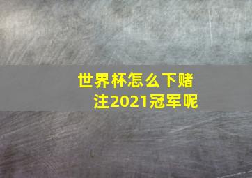 世界杯怎么下赌注2021冠军呢