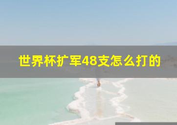 世界杯扩军48支怎么打的