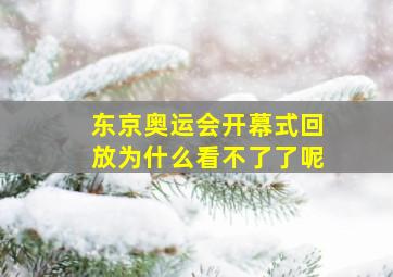 东京奥运会开幕式回放为什么看不了了呢