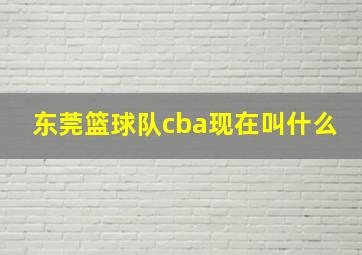 东莞篮球队cba现在叫什么