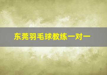 东莞羽毛球教练一对一