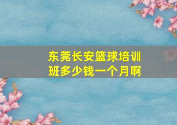 东莞长安篮球培训班多少钱一个月啊