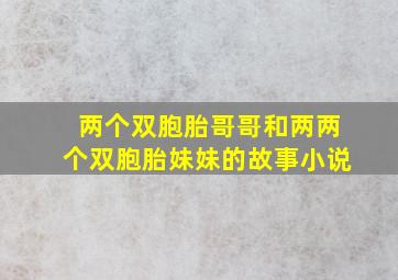 两个双胞胎哥哥和两两个双胞胎妹妹的故事小说