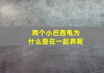 两个小巴西龟为什么叠在一起养呢