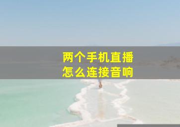 两个手机直播怎么连接音响