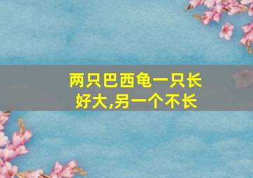 两只巴西龟一只长好大,另一个不长