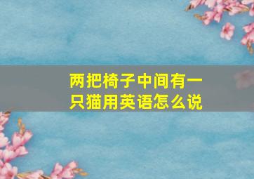 两把椅子中间有一只猫用英语怎么说