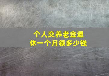 个人交养老金退休一个月领多少钱