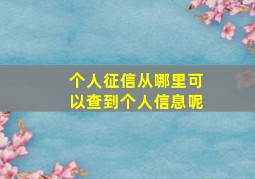 个人征信从哪里可以查到个人信息呢