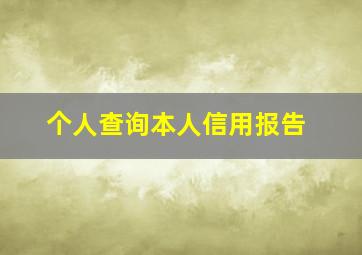 个人查询本人信用报告