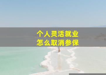 个人灵活就业怎么取消参保