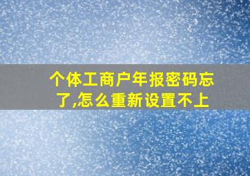 个体工商户年报密码忘了,怎么重新设置不上