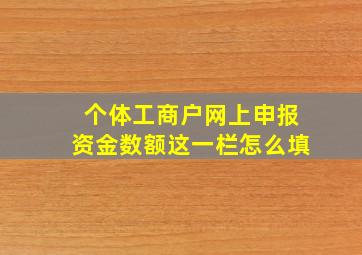 个体工商户网上申报资金数额这一栏怎么填