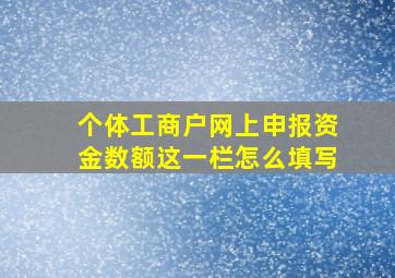 个体工商户网上申报资金数额这一栏怎么填写