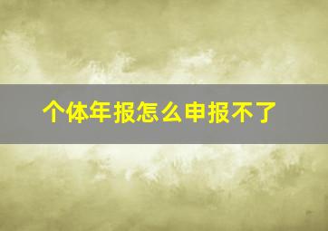 个体年报怎么申报不了