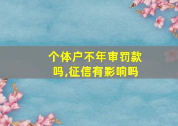 个体户不年审罚款吗,征信有影响吗