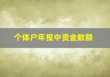 个体户年报中资金数额