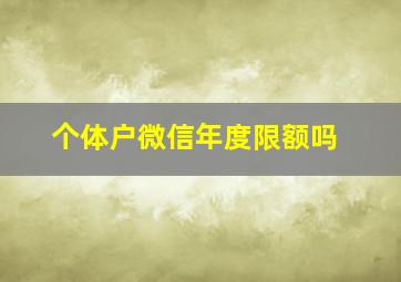 个体户微信年度限额吗