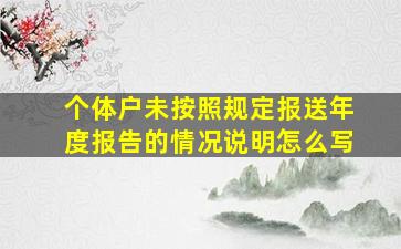 个体户未按照规定报送年度报告的情况说明怎么写