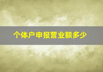 个体户申报营业额多少