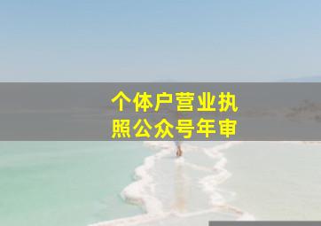 个体户营业执照公众号年审