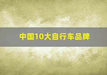 中国10大自行车品牌