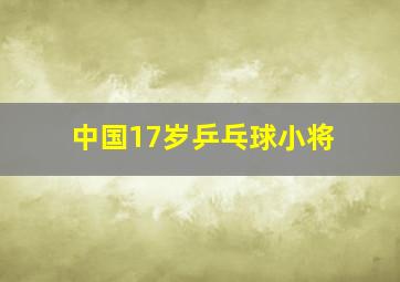 中国17岁乒乓球小将