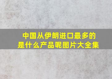 中国从伊朗进口最多的是什么产品呢图片大全集