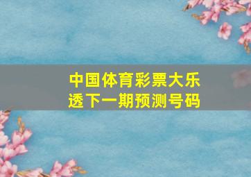 中国体育彩票大乐透下一期预测号码