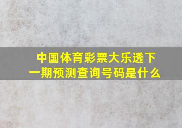 中国体育彩票大乐透下一期预测查询号码是什么