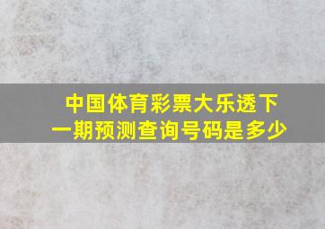 中国体育彩票大乐透下一期预测查询号码是多少