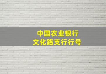 中国农业银行文化路支行行号