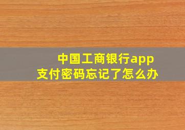 中国工商银行app支付密码忘记了怎么办