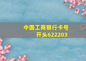 中国工商银行卡号开头622203