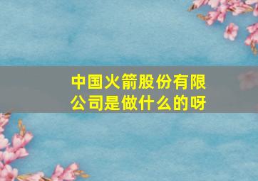 中国火箭股份有限公司是做什么的呀