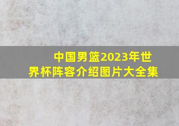 中国男篮2023年世界杯阵容介绍图片大全集