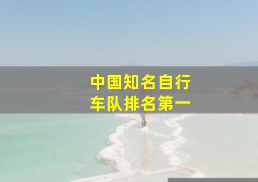 中国知名自行车队排名第一