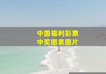 中国福利彩票中奖图表图片