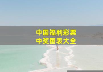 中国福利彩票中奖图表大全