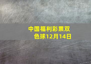 中国福利彩票双色球12月14日