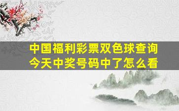 中国福利彩票双色球查询今天中奖号码中了怎么看