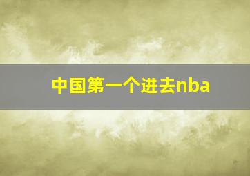 中国第一个进去nba