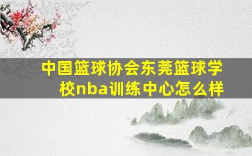 中国篮球协会东莞篮球学校nba训练中心怎么样