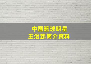 中国篮球明星王治郅简介资料