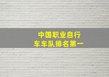 中国职业自行车车队排名第一