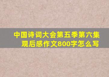 中国诗词大会第五季第六集观后感作文800字怎么写