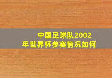 中国足球队2002年世界杯参赛情况如何